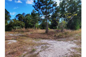 3125 29th Street, Lehigh Acres, FL 33976 - MLS#2026010445