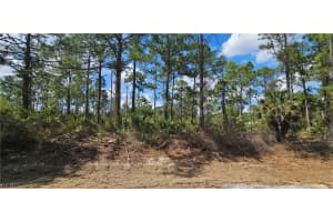 1123 Lincoln Avenue, Lehigh Acres, FL 33972 - MLS#2026011137