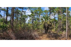 1123 Lincoln Avenue, Lehigh Acres, FL 33972 - MLS#2026011137