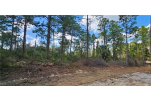 1123 Lincoln Avenue, Lehigh Acres, FL 33972 - MLS#2026011137