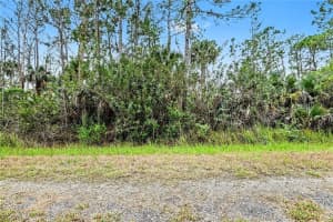 515 Woodman Drive, Lehigh Acres, FL 33972 - MLS#2026011220