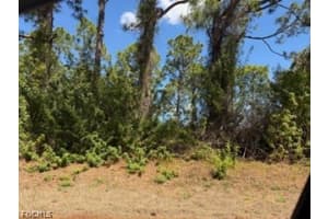 1031 Maddock Street, Lehigh Acres, FL 33974 - MLS#2026012148