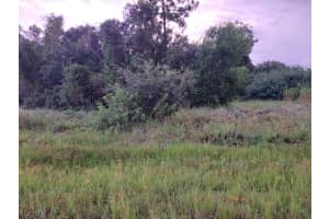 145 Pine Lane, Lehigh Acres, FL 33973 - MLS#2026012305