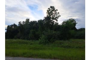 145 Pine Lane, Lehigh Acres, FL 33973 - MLS#2026012305