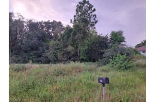 145 Pine Lane, Lehigh Acres, FL 33973 - MLS#2026012305