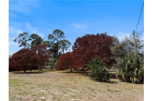 209 McArthur Avenue, Lehigh Acres, FL 33936 - MLS#2026013771