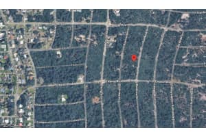 312 Rainbow Drive, Lake Placid, FL 33852 - MLS#2026014384