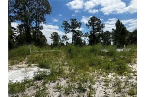 459 Zimmerman Avenue, Lehigh Acres, FL 33974 - MLS#2026015004
