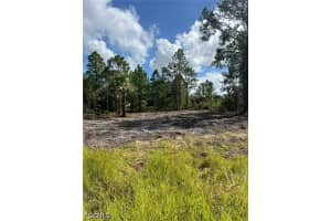 411 Lovers Avenue, Lehigh Acres, FL 33974 - MLS#2026015670