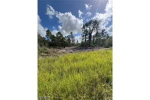 411 Lovers Avenue, Lehigh Acres, FL 33974 - MLS#2026015670