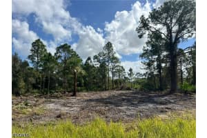 411 Lovers Avenue, Lehigh Acres, FL 33974 - MLS#2026015670