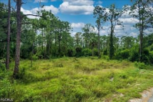 1116 Prospect Avenue, Lehigh Acres, FL 33972 - MLS#2026015732
