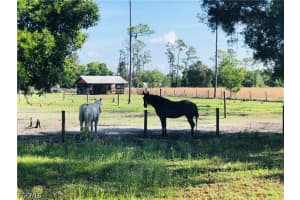 11311 Deal Road, North Fort Myers, FL 33917 - MLS#2026016507