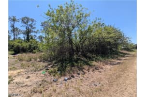 1009 Butler Street, Lehigh Acres, FL 33974 - MLS#2026016885
