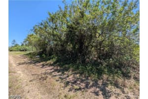 1009 Butler Street, Lehigh Acres, FL 33974 - MLS#2026016885