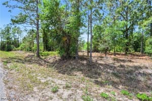 403 Wellington Avenue, Lehigh Acres, FL 33972 - MLS#2026017211