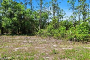 711 Wellington Avenue, Lehigh Acres, FL 33972 - MLS#2026017215