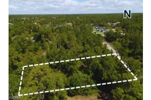 1107 Clayton Avenue, Lehigh Acres, FL 33972 - MLS#2026017300