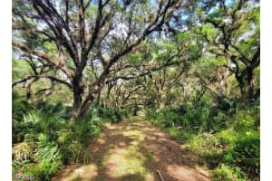 1040 Kirby Thompson Road, Fort Denaud, FL 33935 - MLS#2026018467