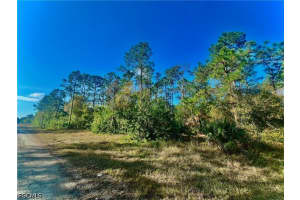 124 Nassau Avenue, Lehigh Acres, FL 33974 - MLS#2026018637