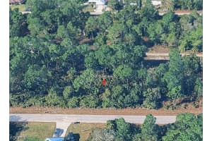 306 Butler Avenue, Lehigh Acres, FL 33974 - MLS#2026019328