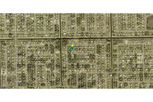 5217 Beauty Street, Lehigh Acres, FL 33971 - MLS#2026019427