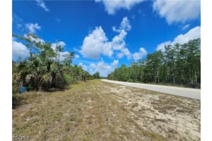 443 Greenbriar Boulevard, Lehigh Acres, FL 33972 - MLS#2026020013