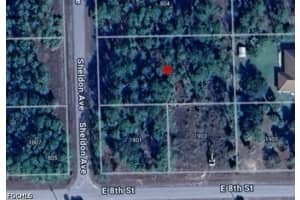 802 Sheldon Avenue, Lehigh Acres, FL 33936 - MLS#2026020161