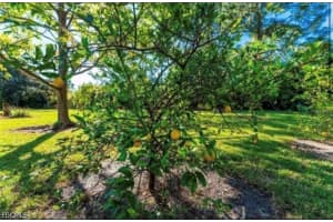 25271 Roland Lane, Punta Gorda, FL 33955 - MLS#2026021856
