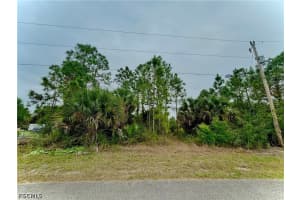 313 Selkirk Avenue, Lehigh Acres, FL 33974 - MLS#2026022175