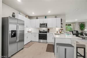 20691 Plumwood Loop, North Fort Myers