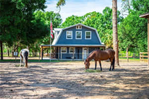 14661 Duke Hwy, Alva