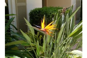6882 Griffin Blvd, Fort Myers, FL 33908, Sold 03/31/16