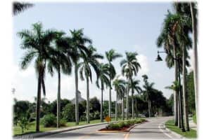 864 Courtington Ln #5, Fort Myers, FL 33919, Sold 10/26/15
