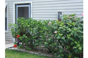 25488 Cockleshell Dr, Bonita Springs, FL 34135, Sold 11/07/16