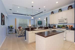 9161 Brendan Preserve Ct, Bonita Springs, FL 34135, Sold 10/31/16