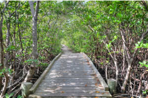 6893 Estero Blvd APT 443, Fort Myers Beach, FL 33931, Sold 03/21/17