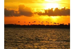 4019 SE 20th Pl, Cape Coral, FL 33904, Sold 03/01/18