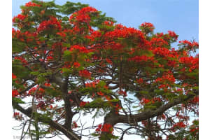 1555 Bunting Ln, Sanibel, FL 33957, Sold 08/15/18