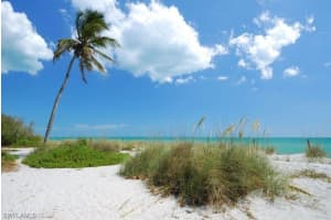 26950 Wildwood Pines Ln, Bonita Springs, FL 34135, Sold 08/31/18