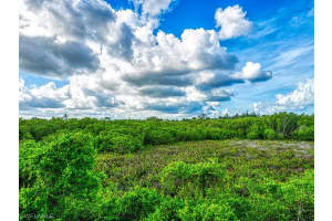 8687 River Homes Lane, Bonita Springs, FL 34135, Sold 10/22/19