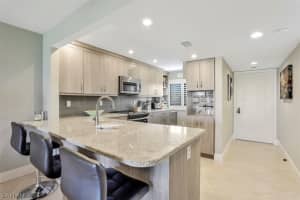 730 W Elkcam Cir, Marco Island, FL 34145, Sold 11/20/19