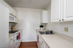 MLS# 219060236, Naples, Florida 34112