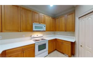 10245 S Silver Palm Dr, Estero, FL 33928, Sold 01/29/21