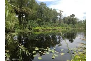 2730 Soaring Hawk Dr, Fort Myers, FL 33905, Sold 01/06/21