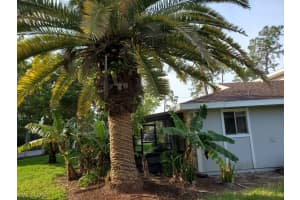 3285 New South Province Blvd, Fort Myers, FL 33907, Sold 07/16/21