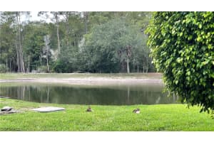 MLS# 221045292, Naples, Florida 34109