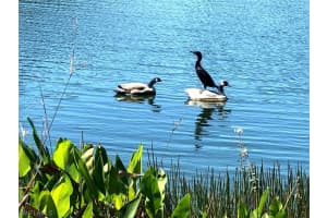 1810 Florida Club Cir, Naples, FL 34112, Sold 11/19/21