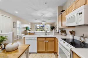 16169 Ravina Way, Naples, FL 34110, Sold 03/24/22