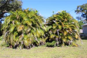 564 Clark St, North Fort Myers, FL 33903, Sold 12/03/21
